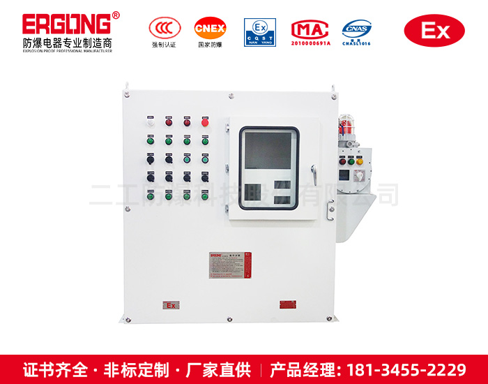 CT6通風型正壓防爆柜